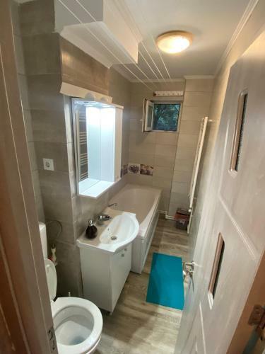 Apartament Andreea