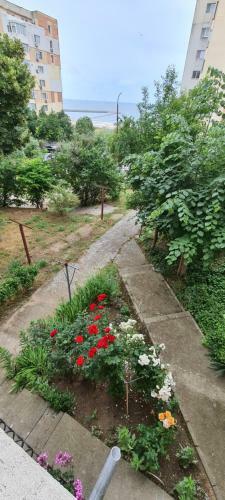 Apartamento Lumiss Suite - Zoom Beach Constanta