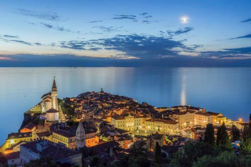 Pristine One-bedroom Apartment In Piran Ired