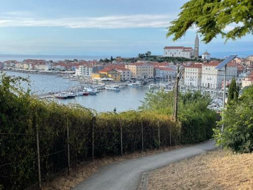 Apartments Cliff Piran