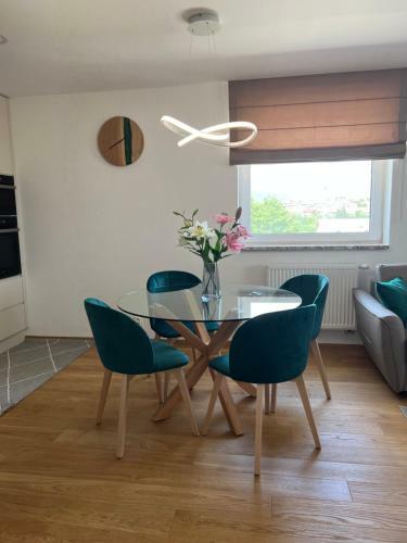Downtown Apartment Darinka