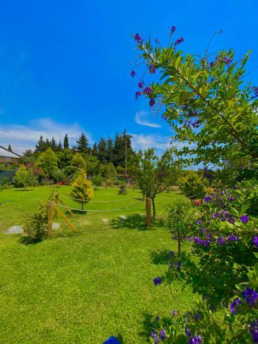 Bed & Breakfast Gel G�r Ah?ap Bungalov