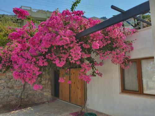 Shaziye Apart Datca-mugla