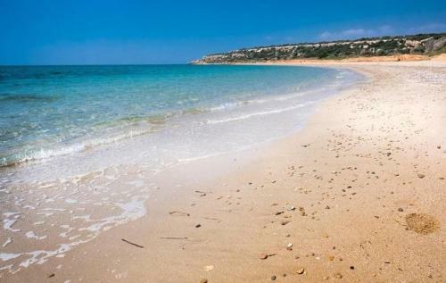 Apartment 20-103 Thalassa Beach Resort