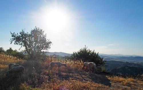 Bed & Breakfast Il Belvedere