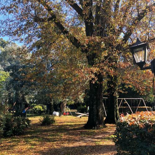 Glamping In Ba - Domos