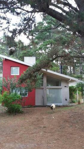Casa Luminosa En El Bosque (mar Azul)