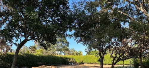 Casa Charmosa No Lago Sul