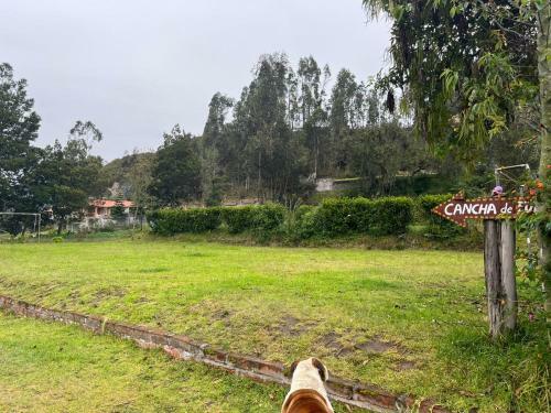 Posada Hoster�a La Gaviota Peruana