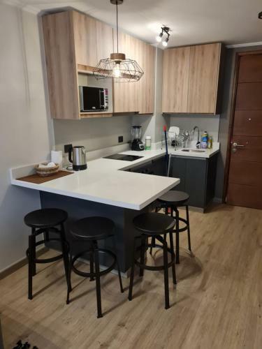Apartamento Departamento En Pucon