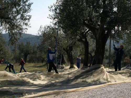 Holiday Home Podere Schioppello