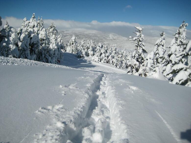 Bed & Breakfast El Mouli Del Riu