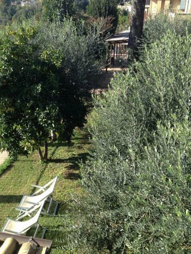 Hotel Tempio Di Apollo