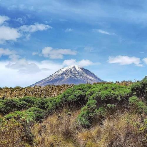 Finca Agroturistica La Reconexi�n