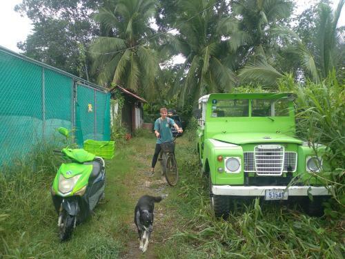 Junglebeachbliss!