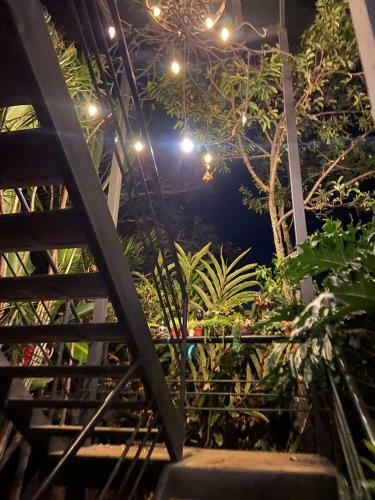 Albergue Hostal Casa F�nix