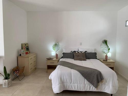 Apartamento New Contemporary Studio