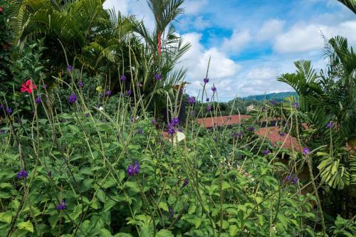 Hotel Laloon Luxury Suites - Adults Only
