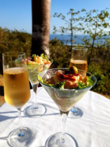 Bed & Breakfast Palmetto Lodge