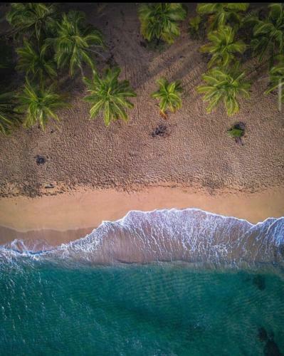 Hostal Meditating Waves