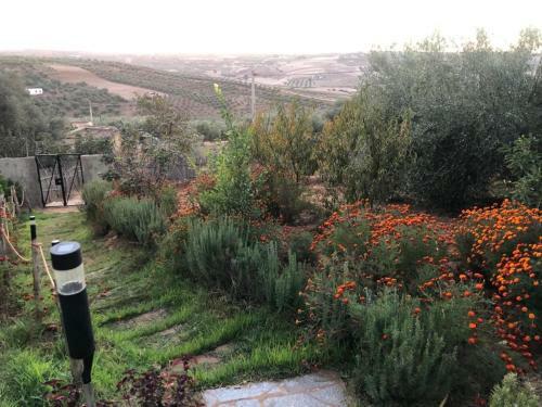 Agroturismo Mekn�s Ait Aabba ????? ??? ???