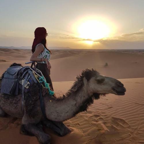 Sahara Bivouac