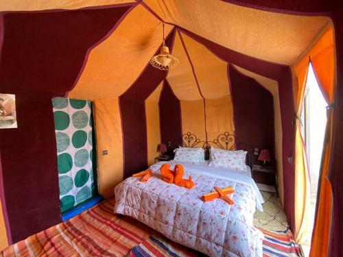 Sahara Bivouac