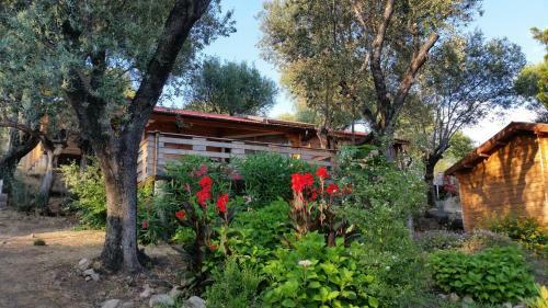 Mare E Monti Chalets