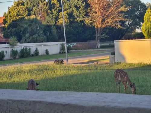 Villa Leopard Park House
