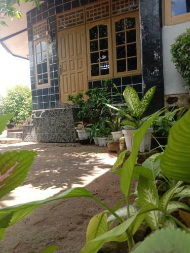 Homestay Bintang