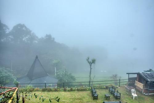 Hotel de Rock Jungle Living Resort