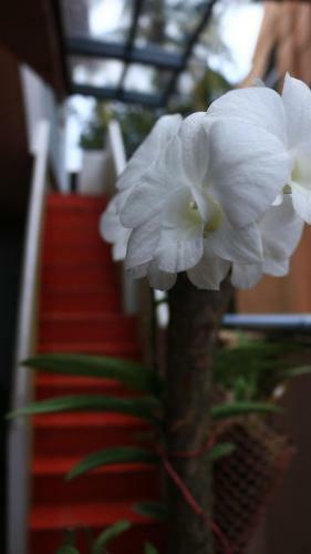 Chackalakkal Home Stay