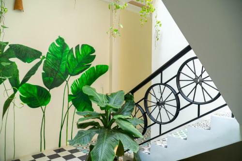 Hue Eco Homestay