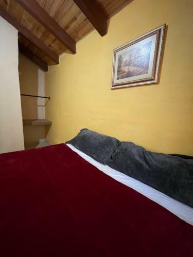 Apartamento Los Pirineos