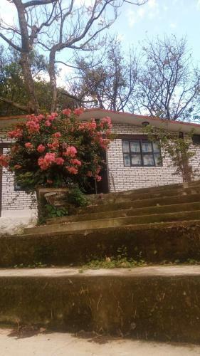 Alojamiento Miriam 27278 21129