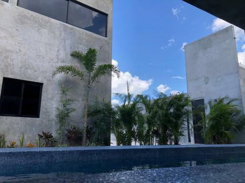 Apartamento La Negra Boutique