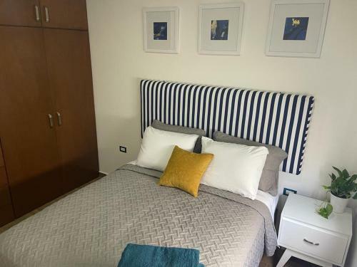 Apartamento Dama Zona Dorada Moderno Y Elegante