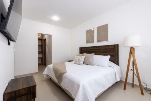 Apartamento Xmx Naturaleza