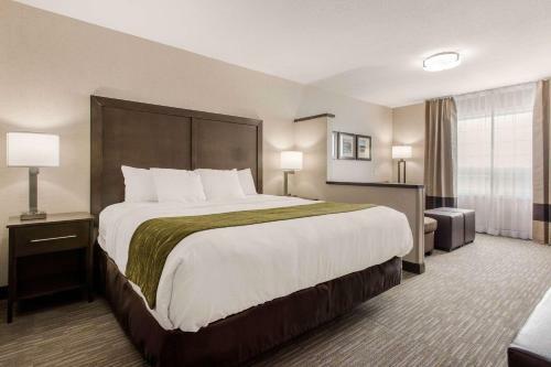 Hotel Comfort Inn & Suites Red Deer