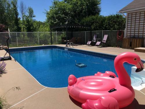 Kids Paradise! Chickens, Pool, Trampoline