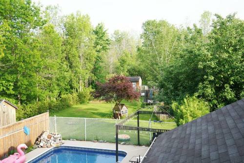 Kids Paradise! Chickens, Pool, Trampoline