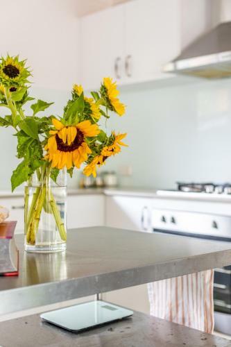 Currumbin Creek Cottage