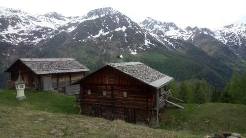 Kamelisenalm Alois Mair