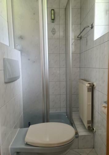 Hotel Alpenhof***