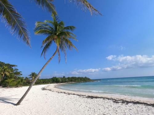 Apartamento Lolita Beach