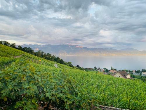 Hostal #lavaux