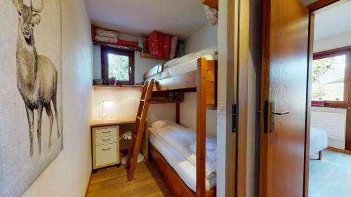 Apartment Cuntainta