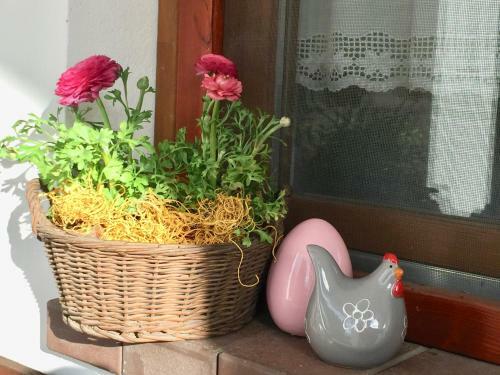 Apartamento �mbitus Vend�gh�z