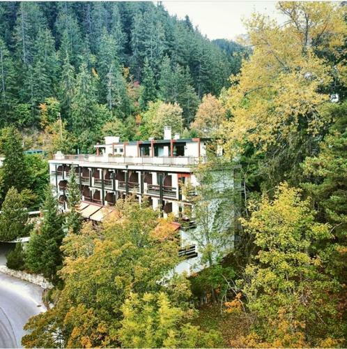 Hotel H�tel De La For�t