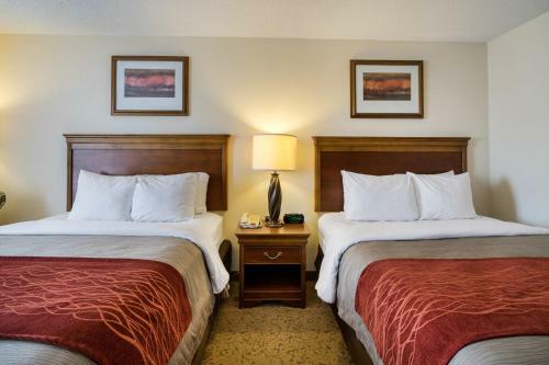 Hotel Comfort Inn & Suites Dover